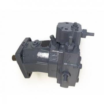 Rexroth Hydraulic Pump A4vg71 A4vg28 A4vg56 Hydraulic Piston Pump for Crawler Crane
