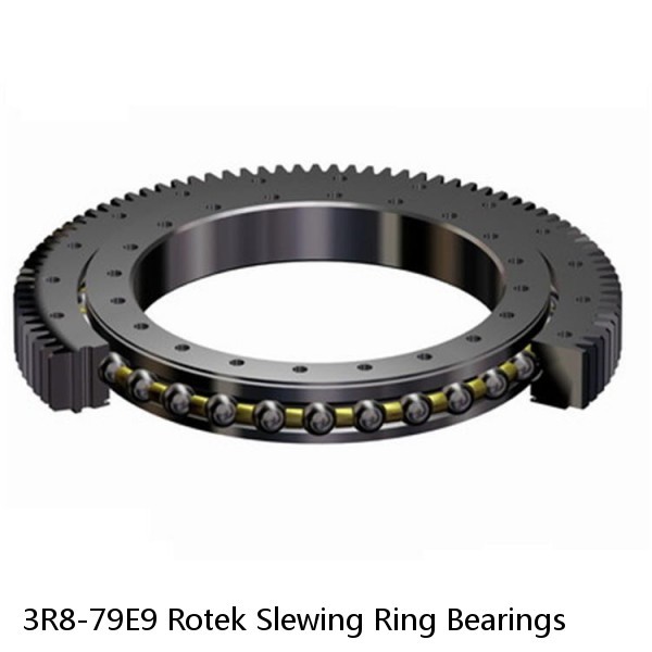 3R8-79E9 Rotek Slewing Ring Bearings