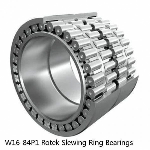 W16-84P1 Rotek Slewing Ring Bearings