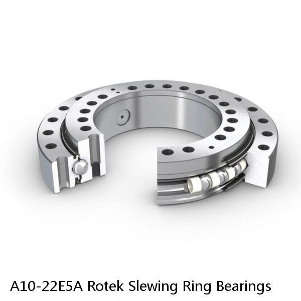 A10-22E5A Rotek Slewing Ring Bearings