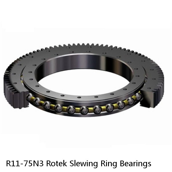 R11-75N3 Rotek Slewing Ring Bearings