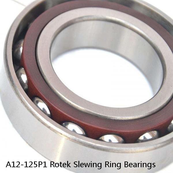 A12-125P1 Rotek Slewing Ring Bearings #1 small image