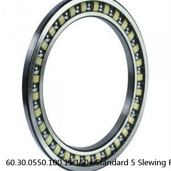 60.30.0550.100.11.1504 Standard 5 Slewing Ring Bearings #1 small image