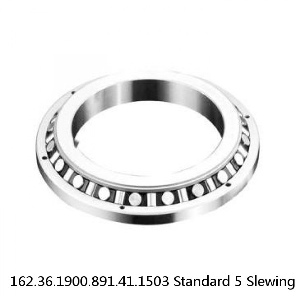 162.36.1900.891.41.1503 Standard 5 Slewing Ring Bearings #1 small image