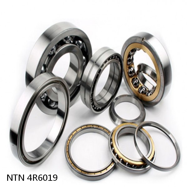 4R6019 NTN Cylindrical Roller Bearing #1 small image