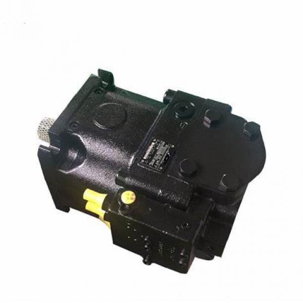 A10vso100 Series Hydraulic Pump Parts for Rexroth #1 image