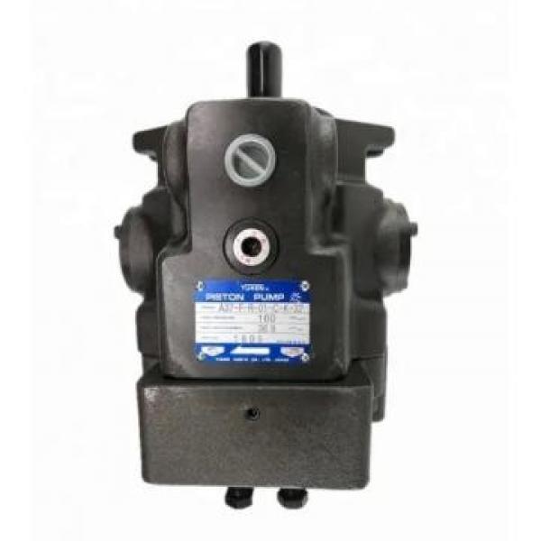 21 Gallon Oil Pump Cartridge Kits PV2r2 Hydraulic Pump #2 image