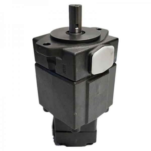 Original YUKEN Double Vane Pump made in JAPAN available with HINLOON in Stock #1 image