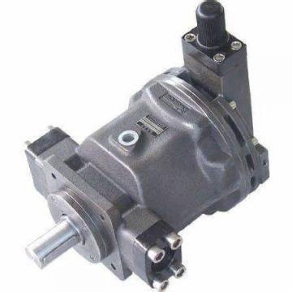 Ultra-Low Pulse Double Hydraulic Vane Pump,Hydraulic Pump Price List,China Hydraulic Pump #1 image