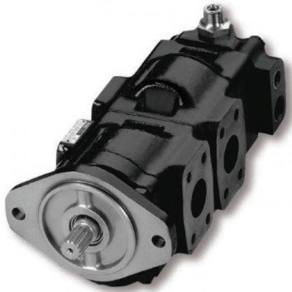Parker PGP620 High Pressure Cast Iron Gear Pump 7029210009 #1 image