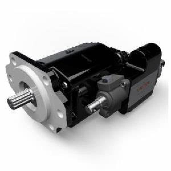REXROTH A2F series A2F12/23/2855/63/80/107/125/160/250/500 radial piston pump hydraulic motor #1 image