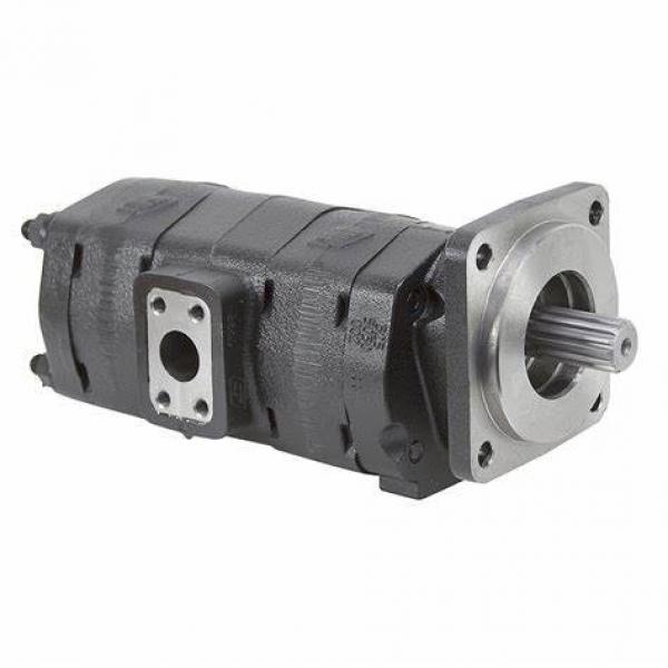 SNCB Internal Gear Pump low noise Injection Molding machine energy saving servo pump replace EIPH pump #1 image