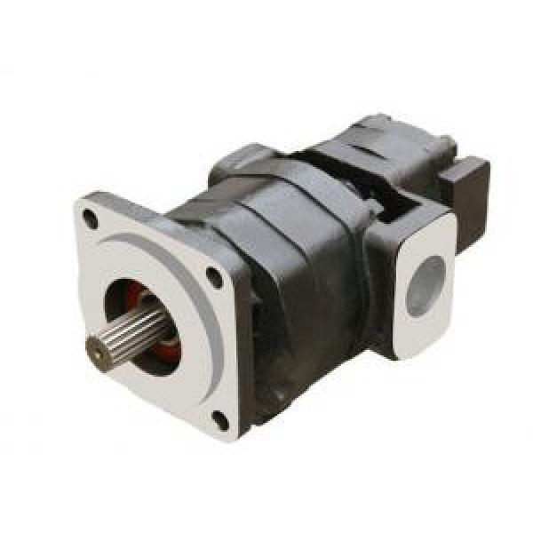 cast iron parker P20 P50 P51 P75 P300 P350 reversible rotary fixed for forklift truck linde gear oil pump/ #1 image
