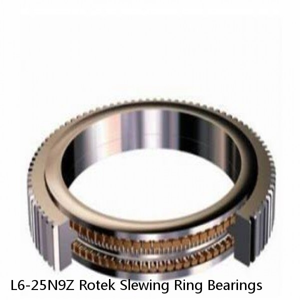 L6-25N9Z Rotek Slewing Ring Bearings #1 image