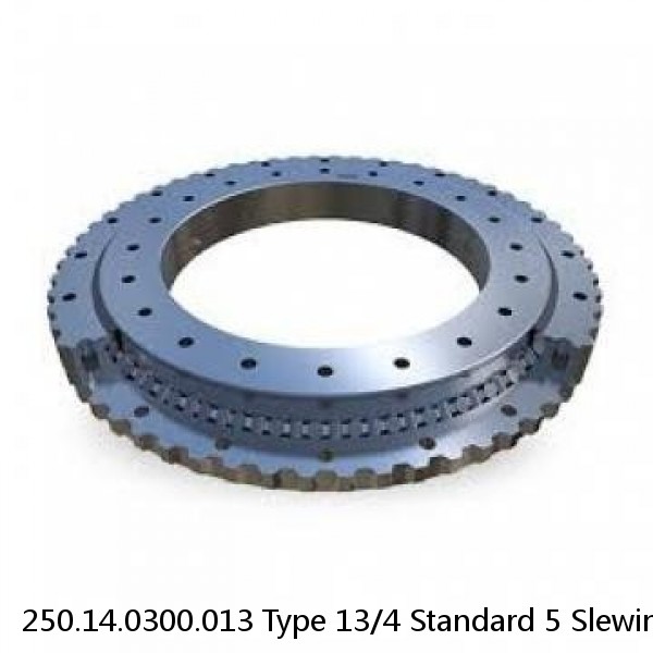 250.14.0300.013 Type 13/4 Standard 5 Slewing Ring Bearings #1 image